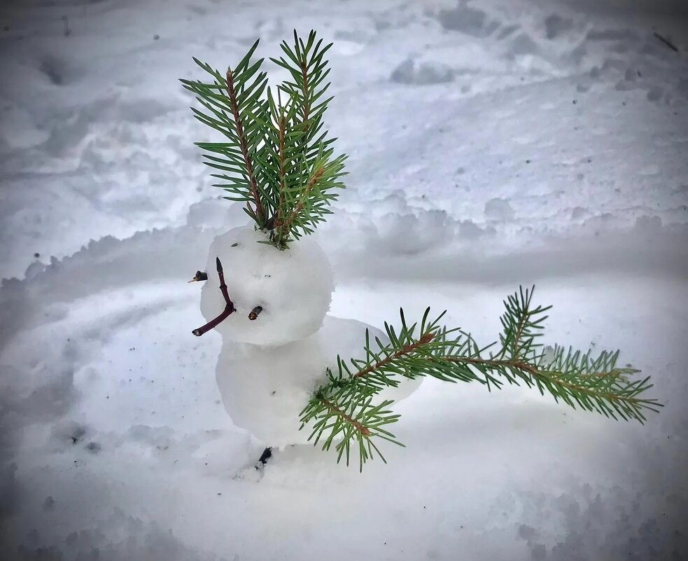 Апрельский ПТИЦ 25г)) - Любовь 