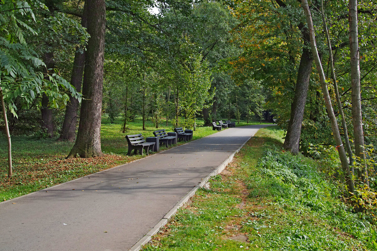 Кузьминский парк - Игорь Белоногов