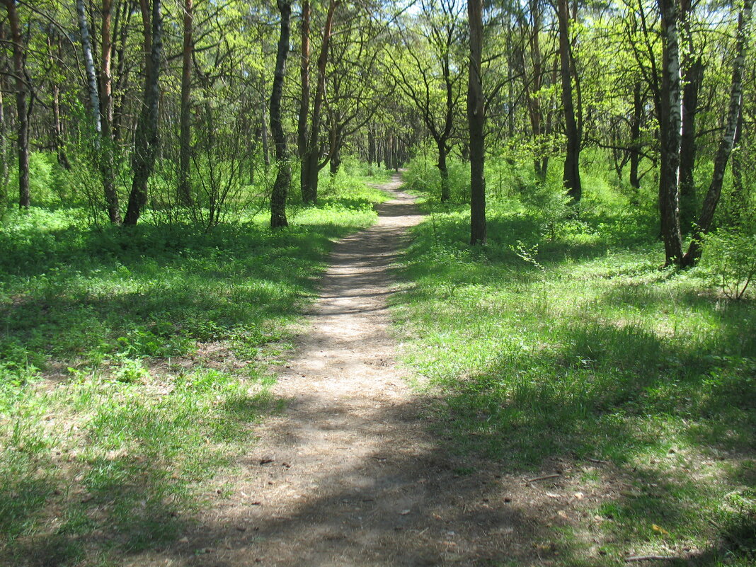 В парке - Андрей Л. В. В парке - Андрей Л. В.
