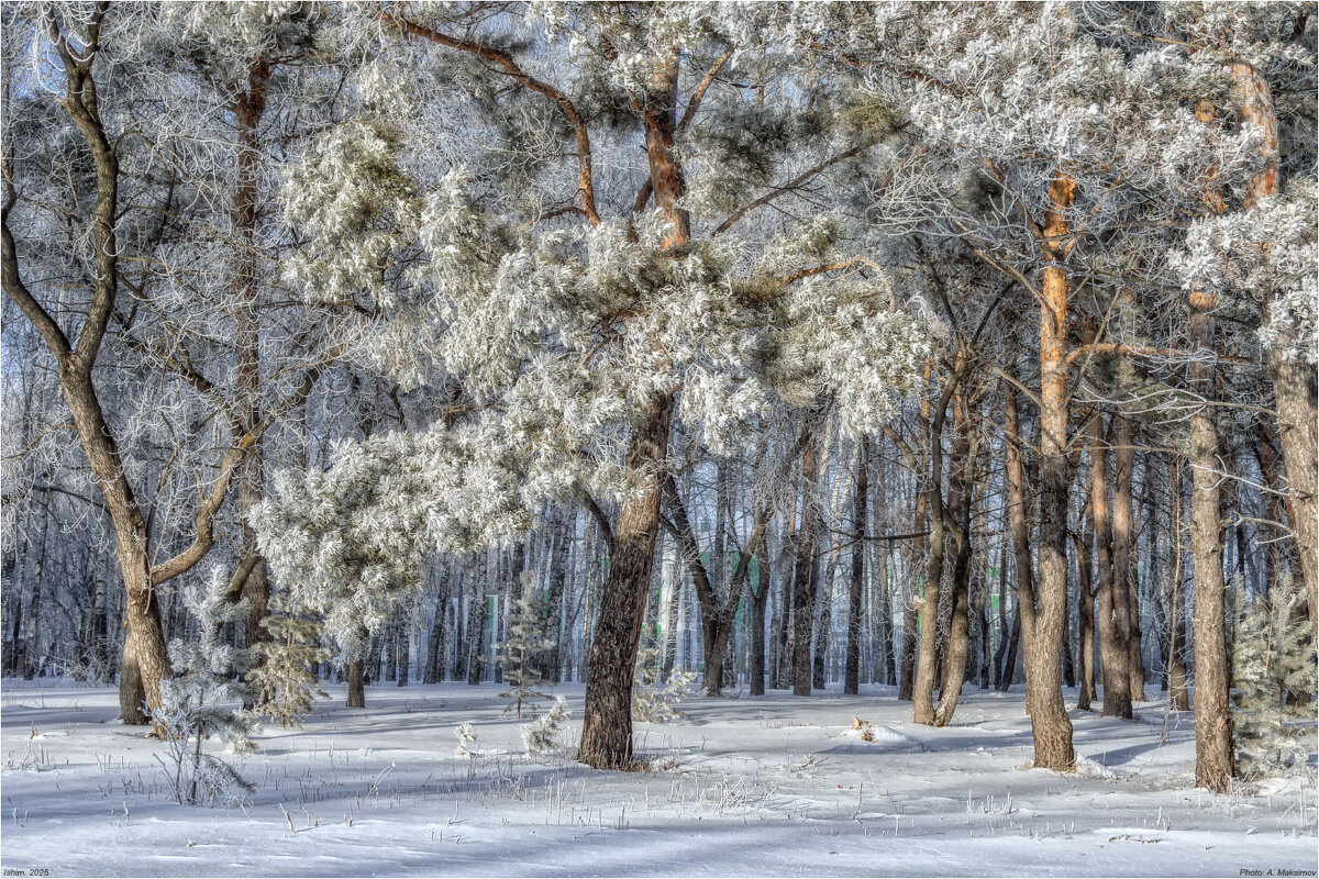 Куржачок. - Александр Максимов Куржачок. - Александр Максимов