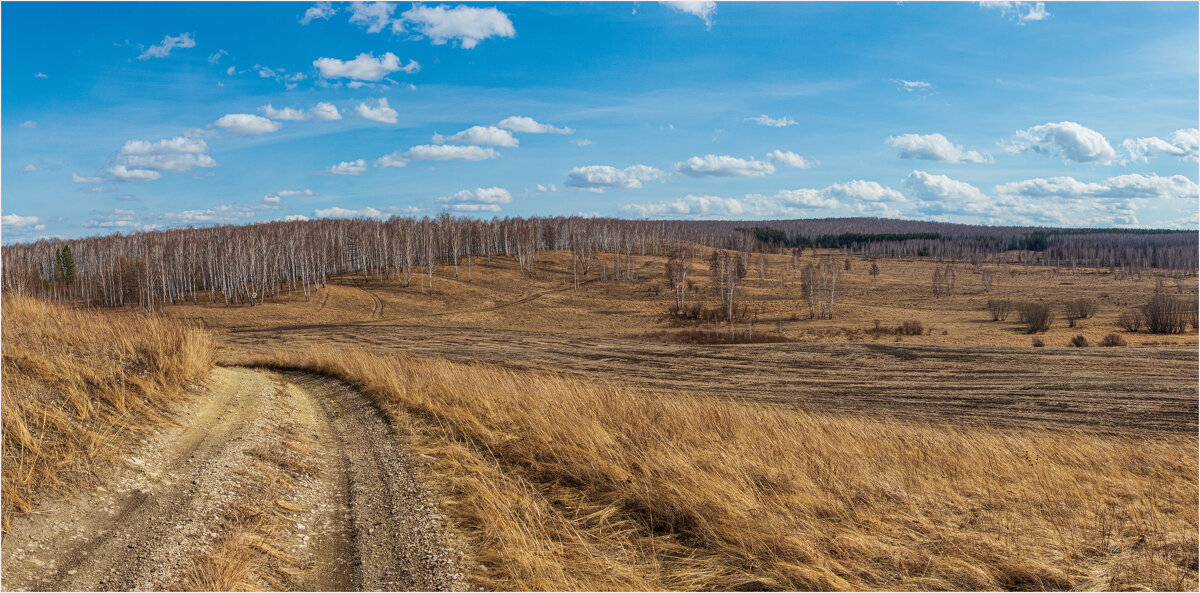 Апрель не балует разнообразием красок,но есть стёжки дорожки - Алексей Мезенцев Апрель не балует разнообразием красок,но есть стёжки дорожки - Алексей Мезенцев