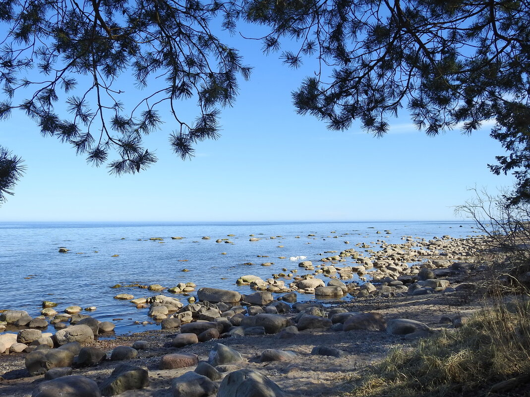 весна - ИННА ПОРОХОВА