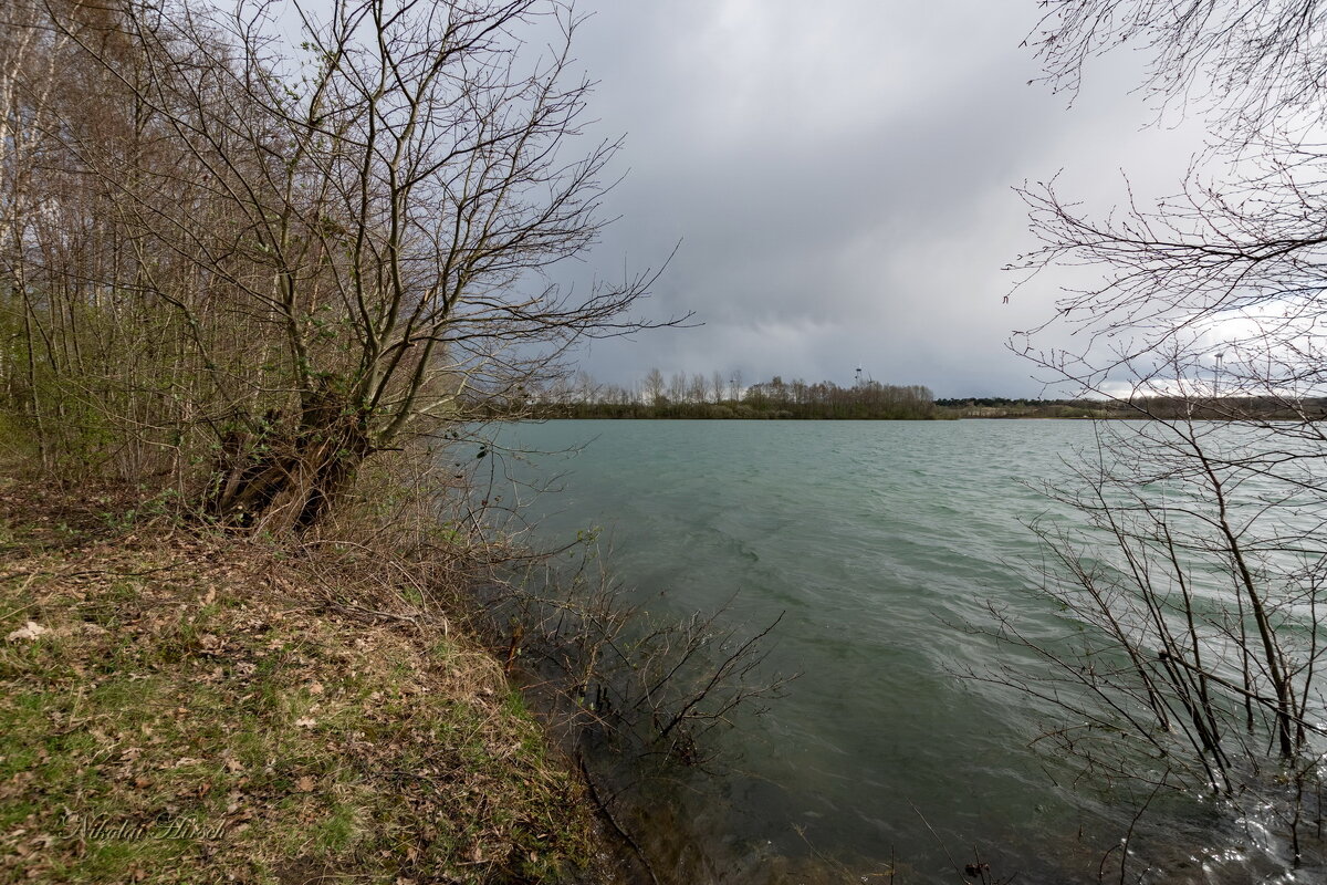 Неприветливый март... - Николай Гирш Неприветливый март... - Николай Гирш