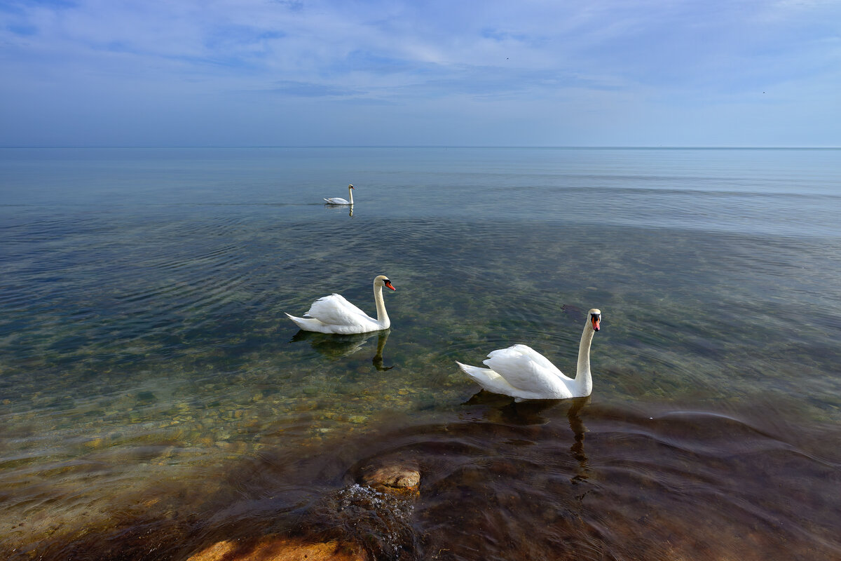 Штиль - Vladimir Штиль - Vladimir