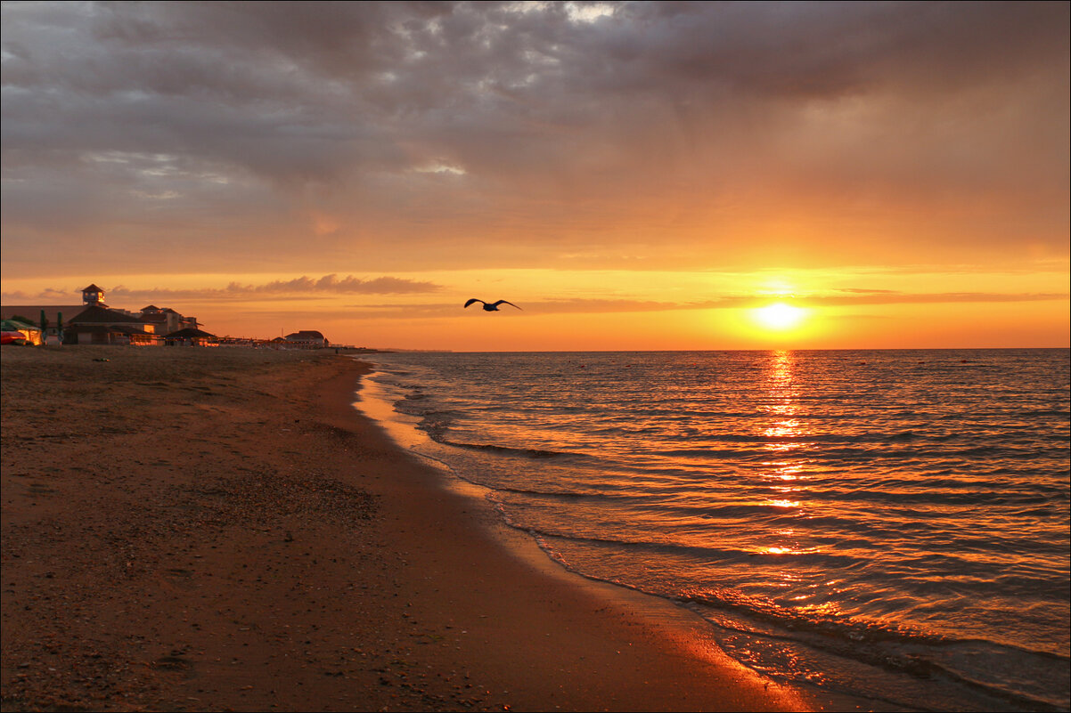 Утро после дождя - Федор Кобец Утро после дождя - Федор Кобец