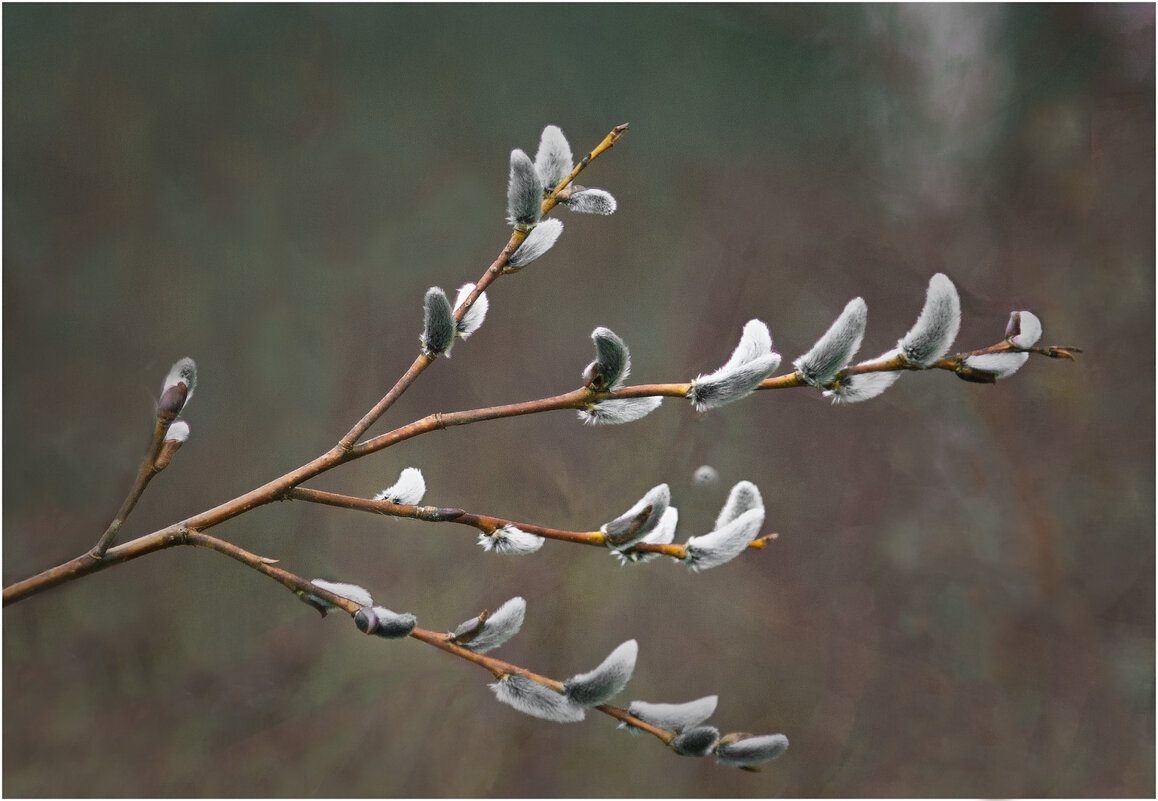 Весенний мотив - Валентин Котляров Весенний мотив - Валентин Котляров
