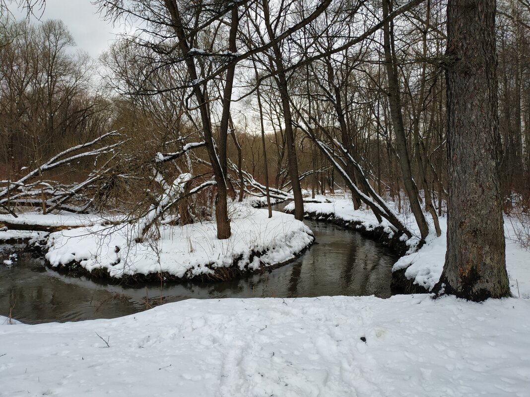 Вдоль да по речке. Тема с вариацией - Андрей Лукьянов