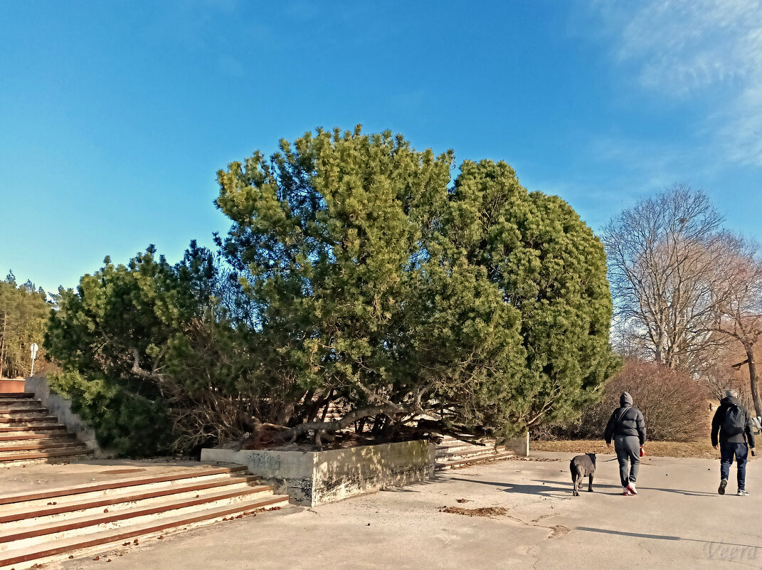 Прогулка по Пирита - Veera V