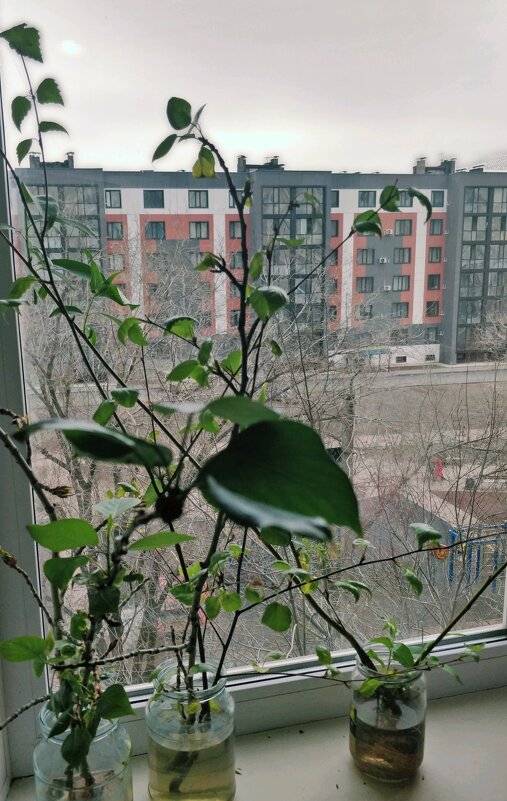 Весна идёт - Андрей Хлопонин Весна идёт - Андрей Хлопонин