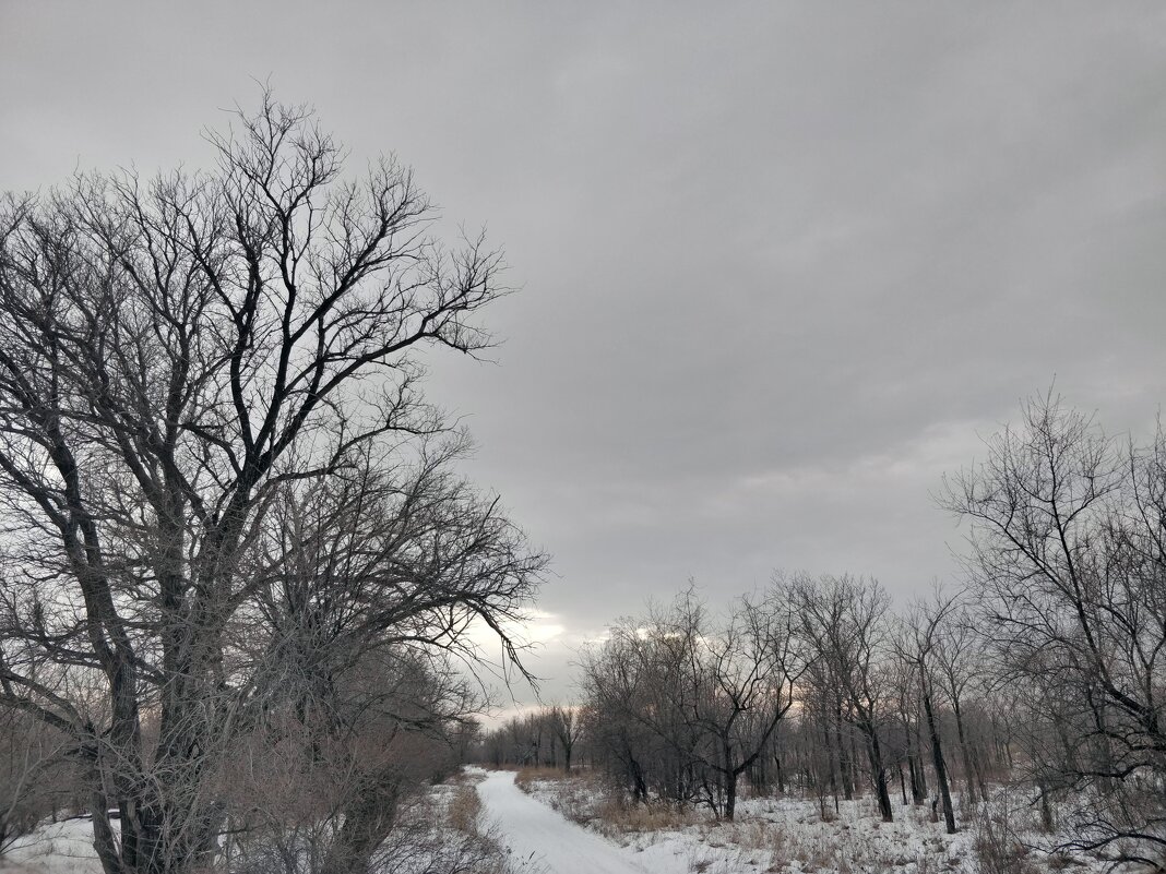 Зимняя дорога - Андрей Хлопонин