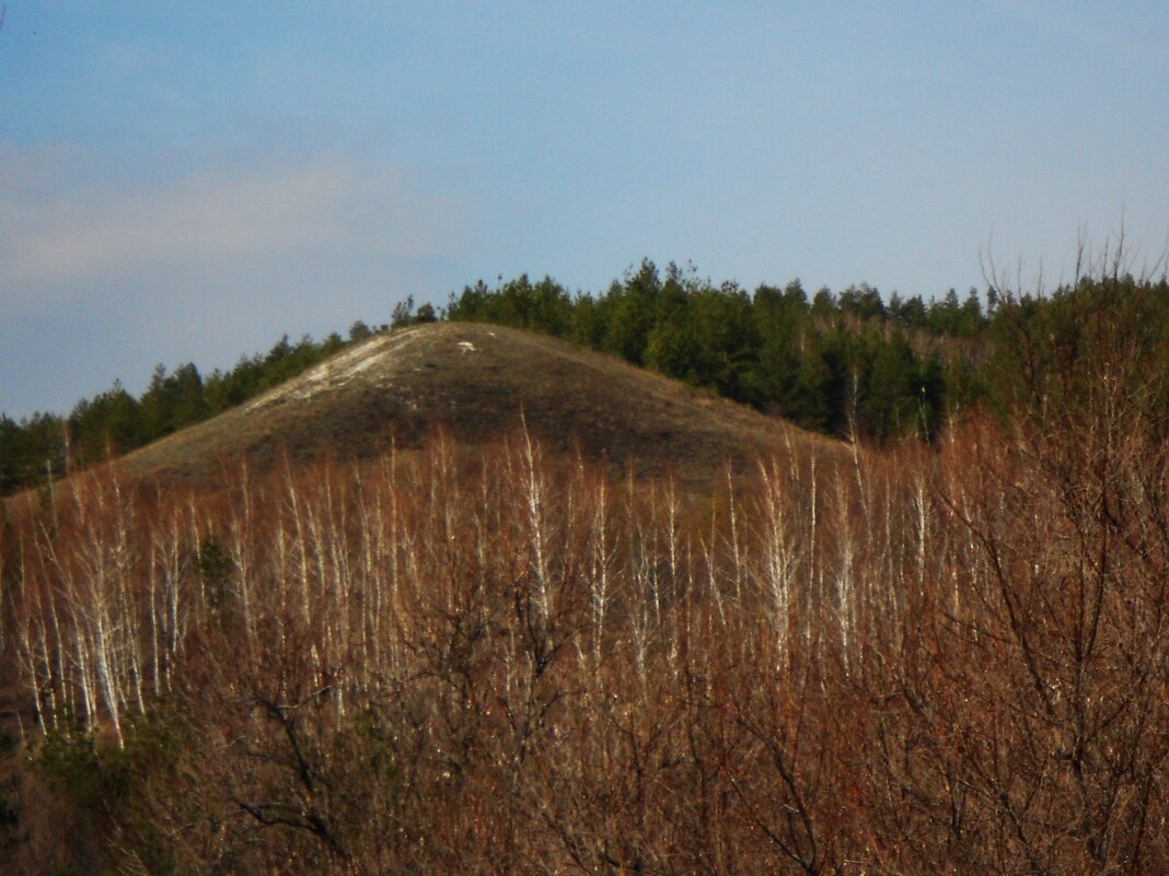 Хвалынский нацпарк - Елена Шаламова Хвалынский нацпарк - Елена Шаламова