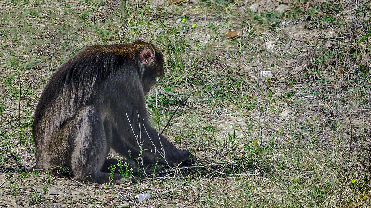 Увлечение сельским хозяйством - Alexandеr P Увлечение сельским хозяйством - Alexandеr P