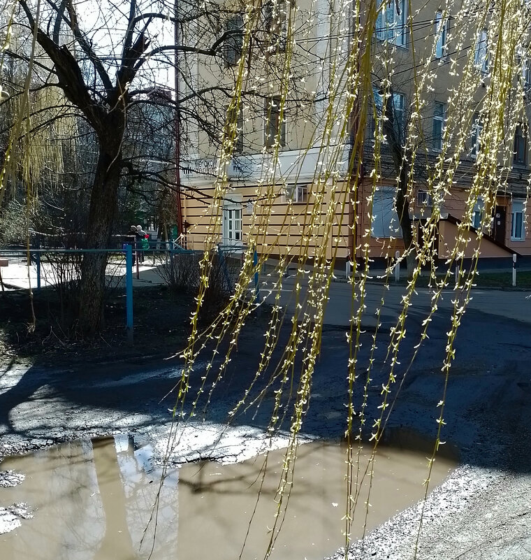 *** - Валентина Береснева