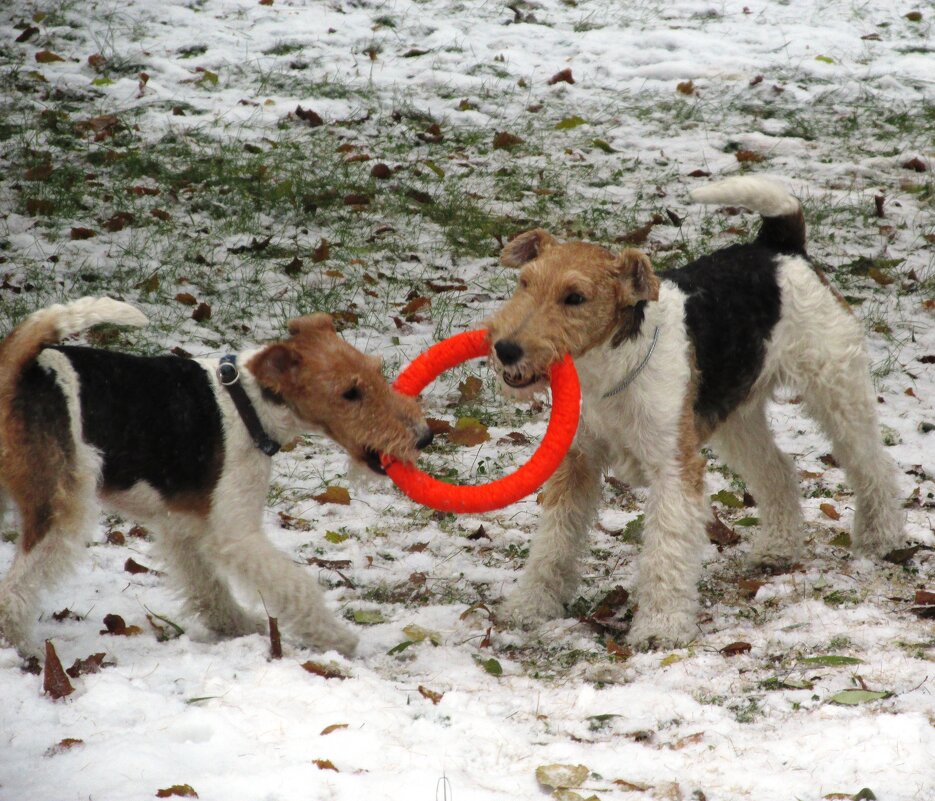 Кто сильнее - Galaelina ***