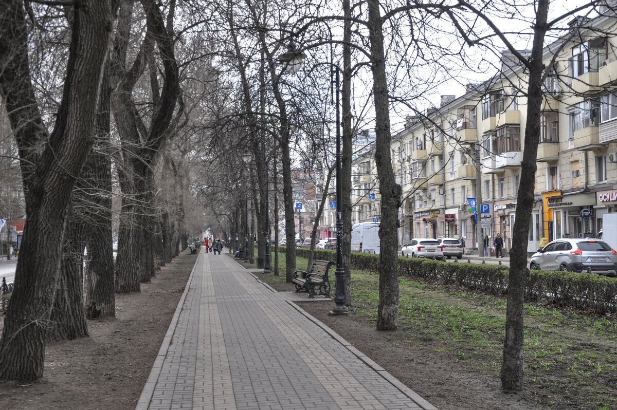 Старинный сквер на ул. Кольцовская - Татьяна Машошина Старинный сквер на ул. Кольцовская - Татьяна Машошина