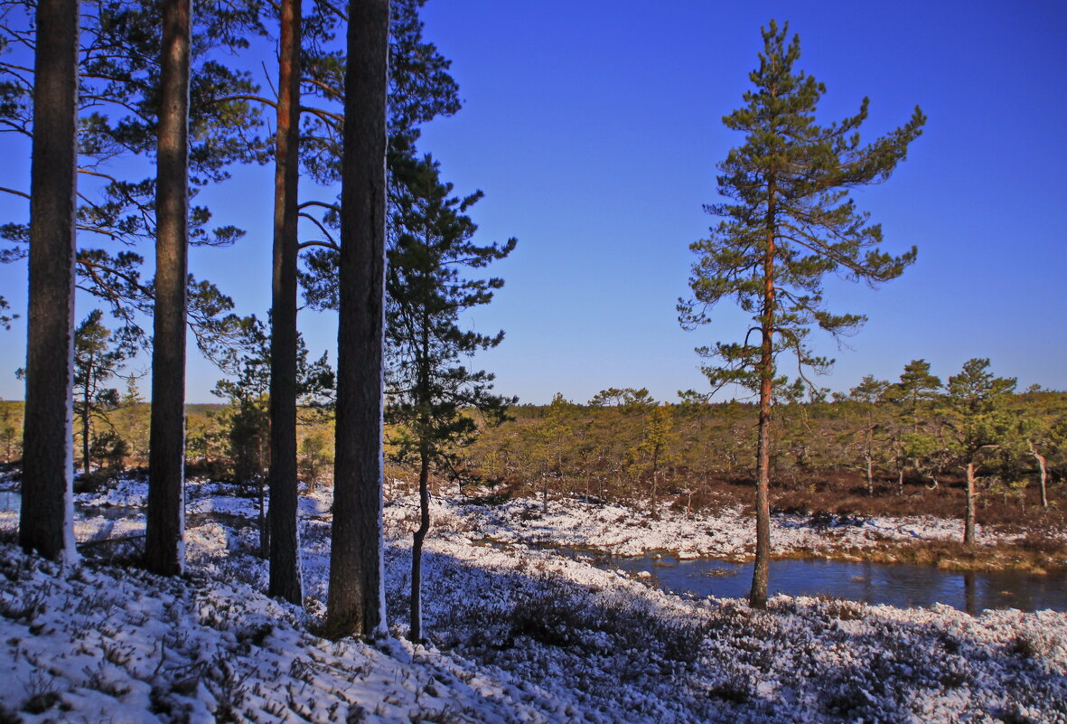 Пейзажик со снежком.. - Татьян@ Ивановна Пейзажик со снежком.. - Татьян@ Ивановна