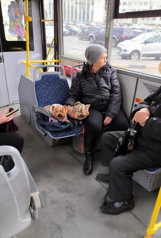 Человек собаке друг! - Ольга 