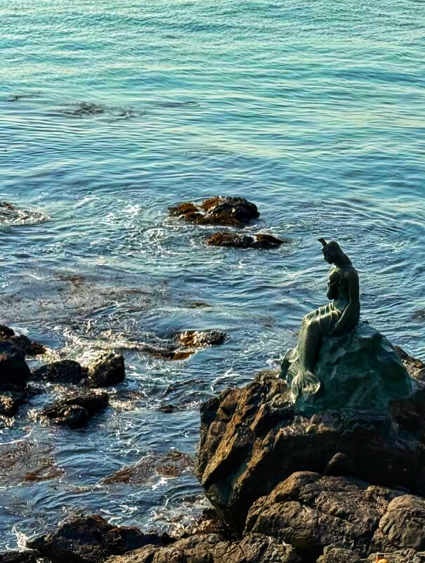 Корейская русалочка - Сергей Б. Корейская русалочка - Сергей Б.