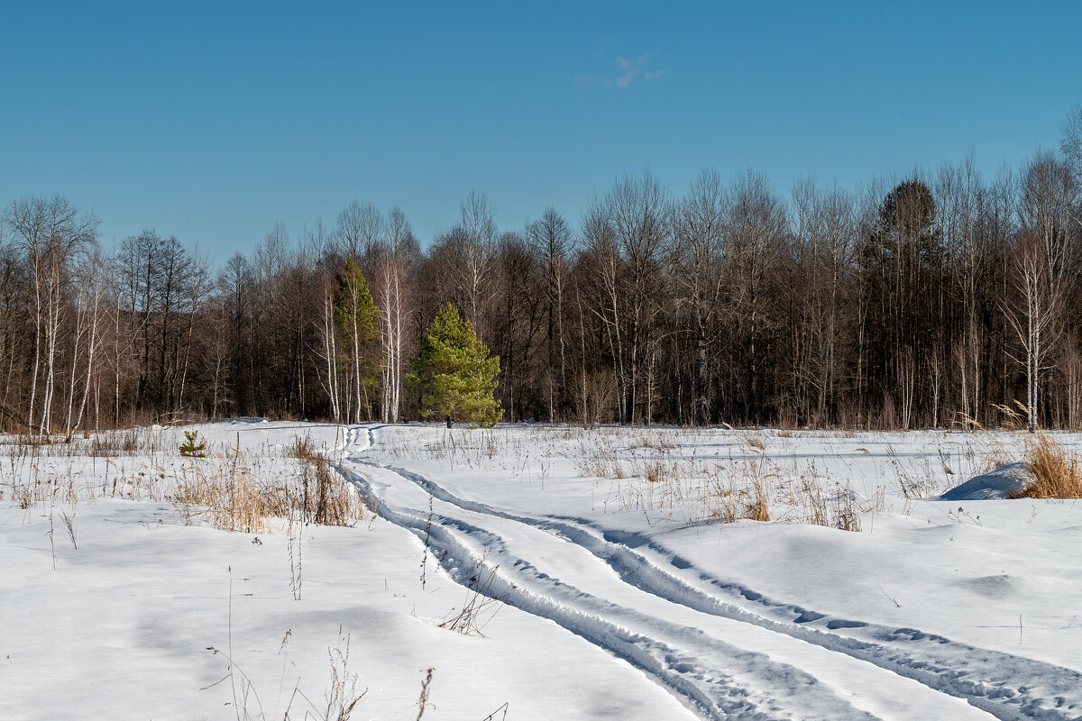 Запах весны - Александр Орлов