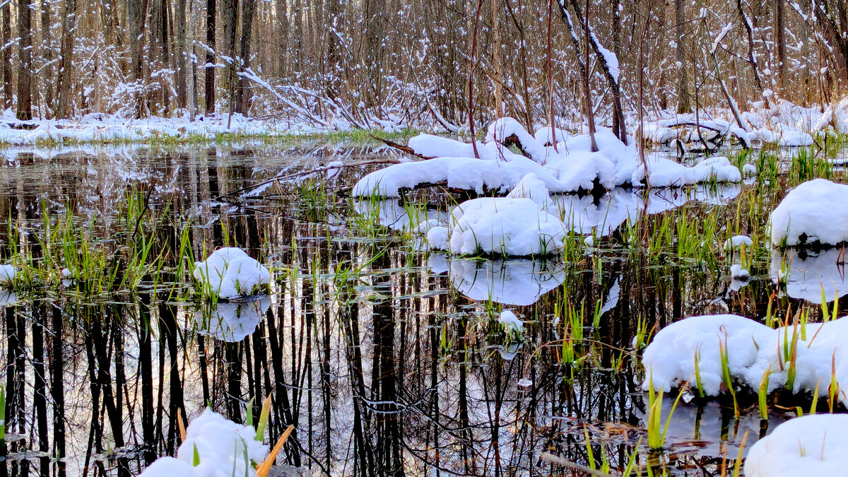 начало апреля 8 - Александр Прокудин начало апреля 8 - Александр Прокудин