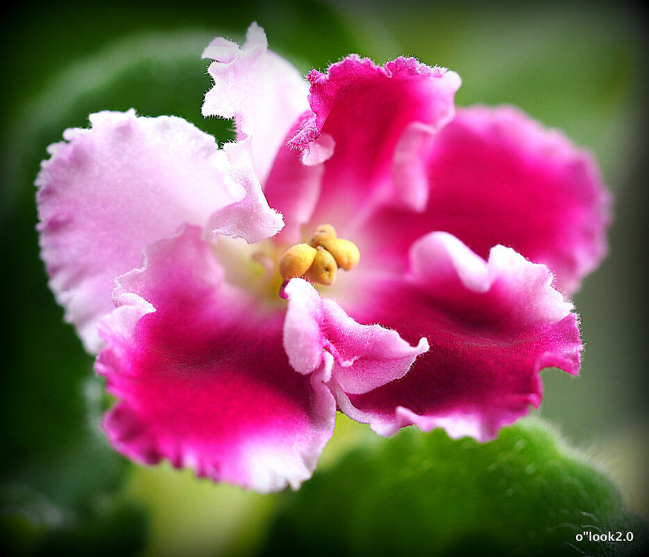 маленькие радости - Олег Лукьянов маленькие радости - Олег Лукьянов