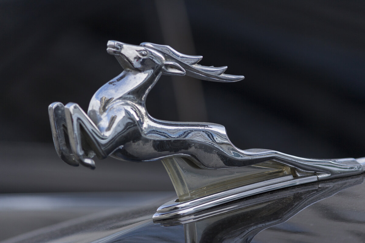 Символ - Алексей Булак