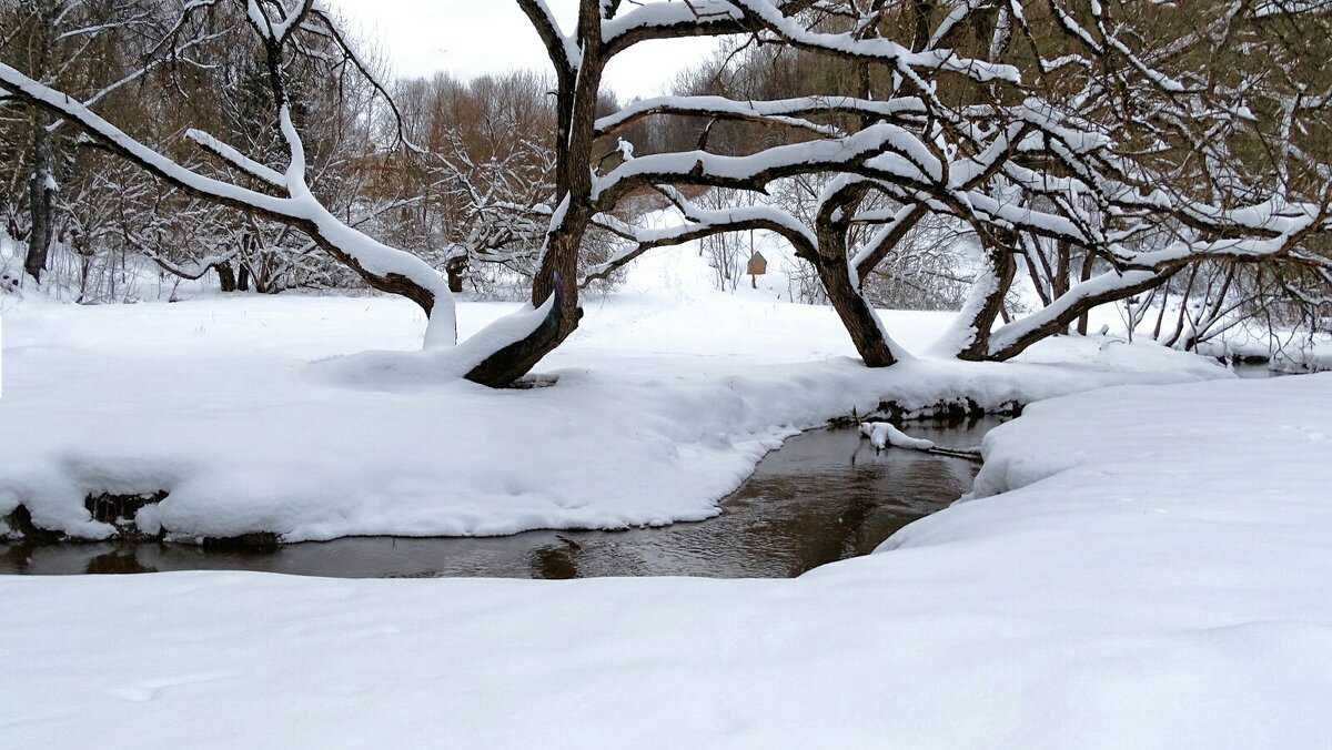 В парк вернулась зима. - Милешкин Владимир Алексеевич В парк вернулась зима. - Милешкин Владимир Алексеевич