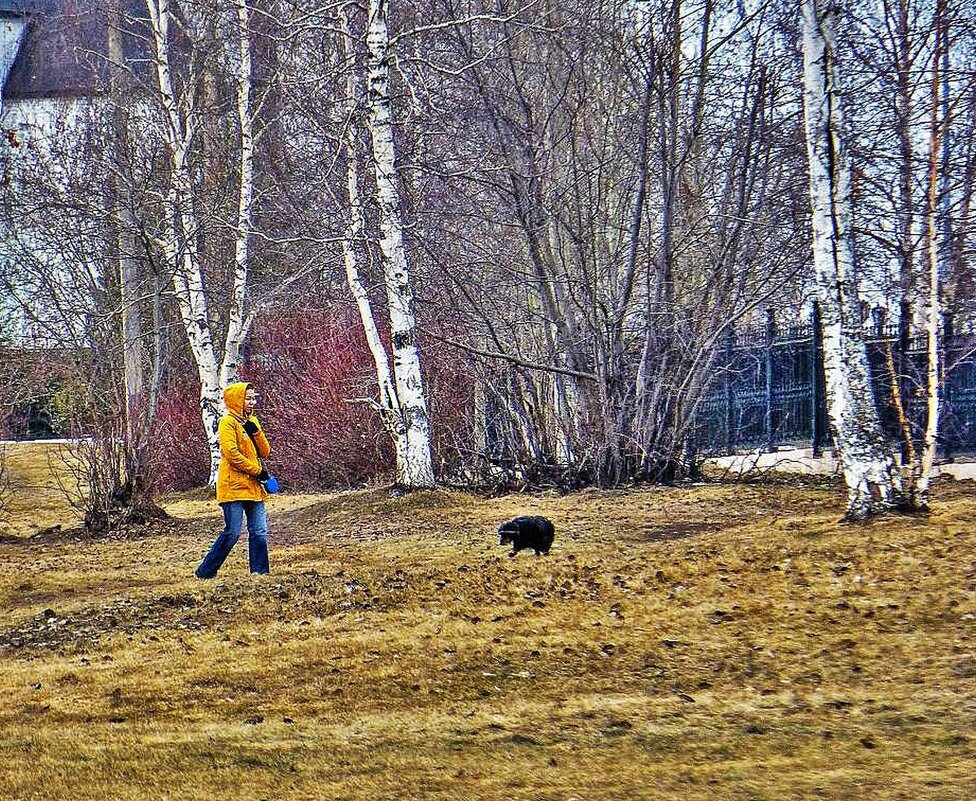 Май...На церковном холме с песиком! - Владимир 