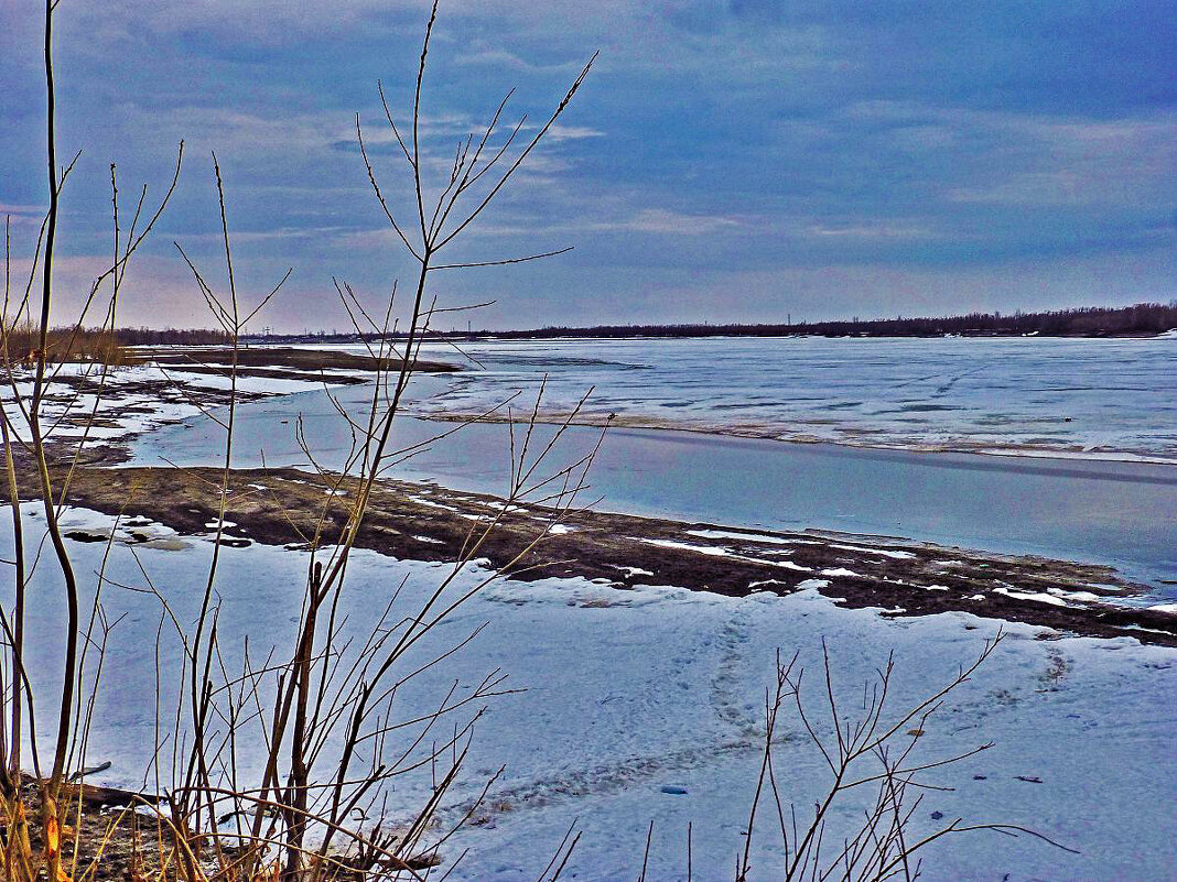 Утро апреля на Юганской Оби. - Владимир 