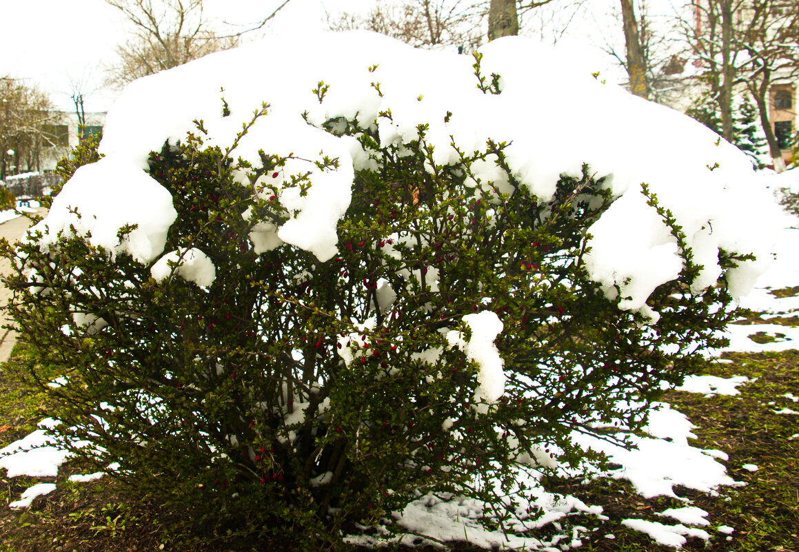 Апрельский снег - Владимир Зырянов Апрельский снег - Владимир Зырянов