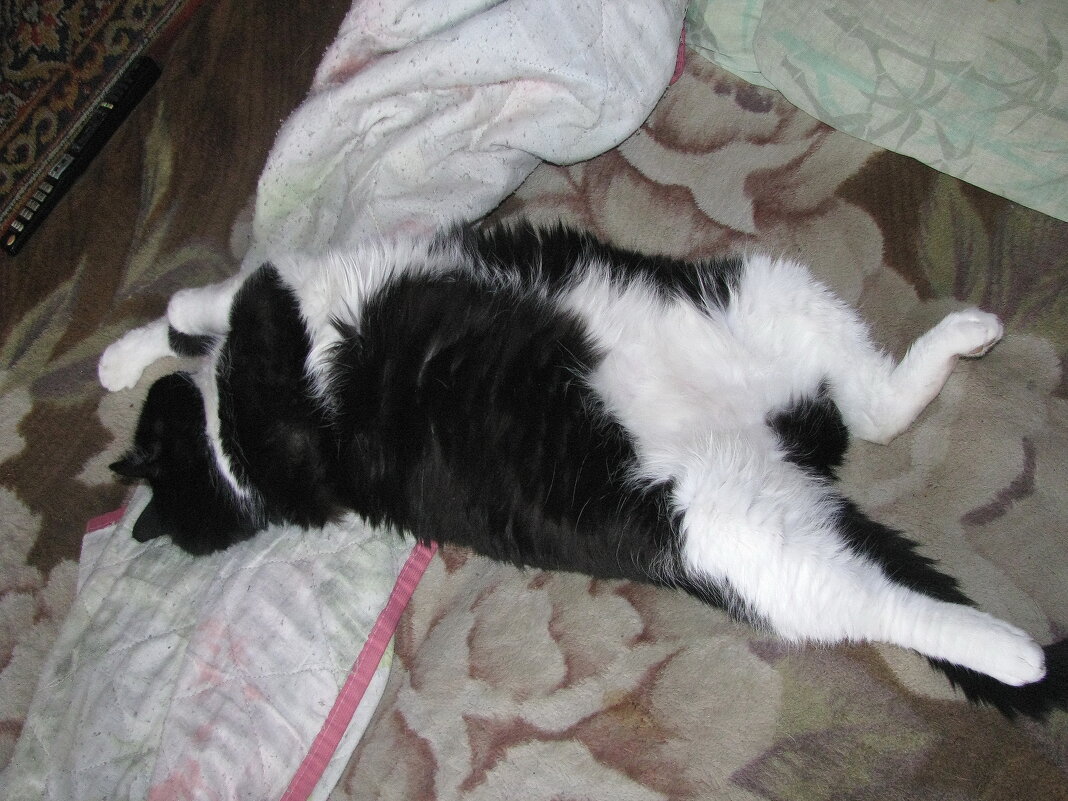 После завтрака - Людмила Смородинская После завтрака - Людмила Смородинская