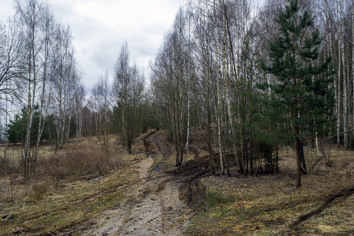 Мартовские дорожки - Сергей Цветков