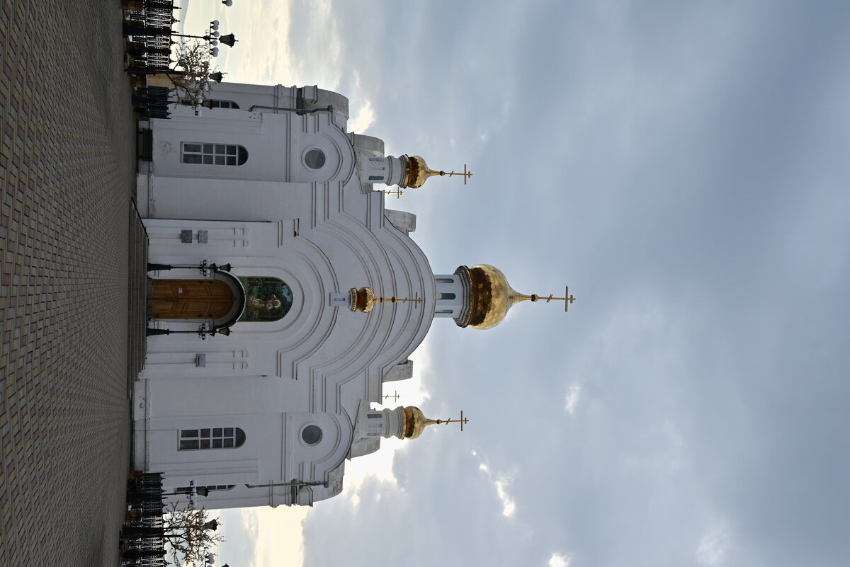 Случайные, неслучайные кадры - Владислав Левашов