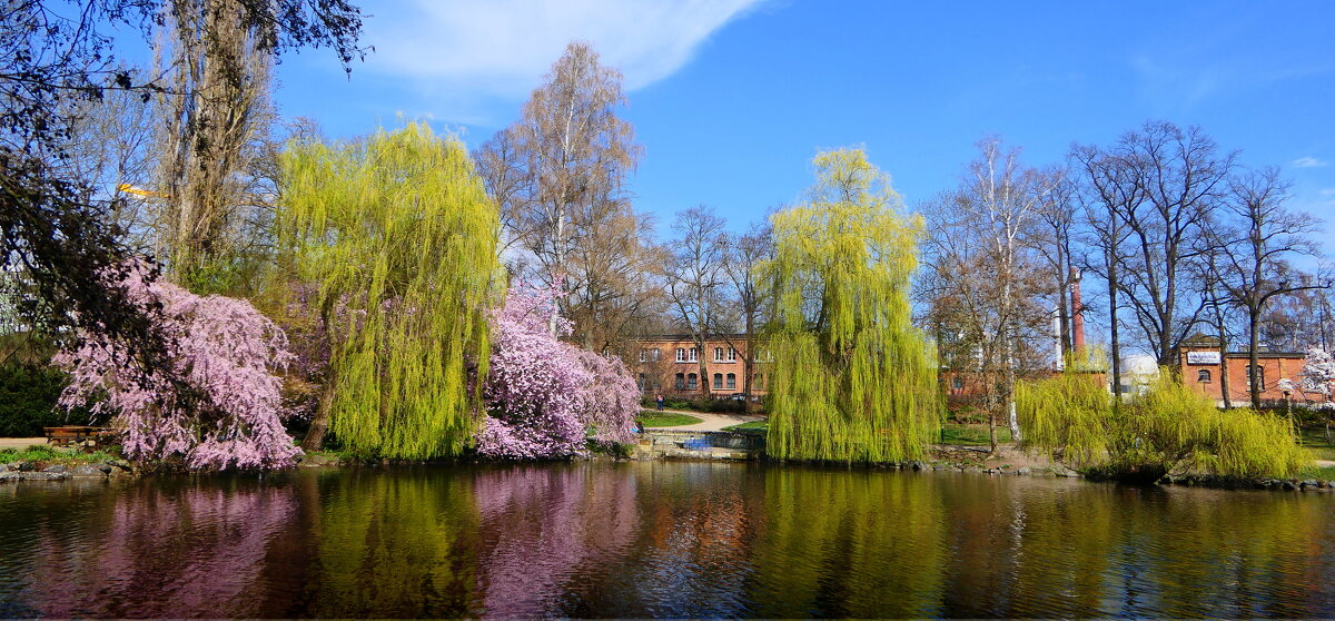 Пробуждение "ВЕСНЫ" Прекрасная природа.Мир Природы "Natural World" - "The Natural World" Александер Пробуждение "ВЕСНЫ" Прекрасная природа.Мир Природы "Natural World" - "The Natural World" Александер