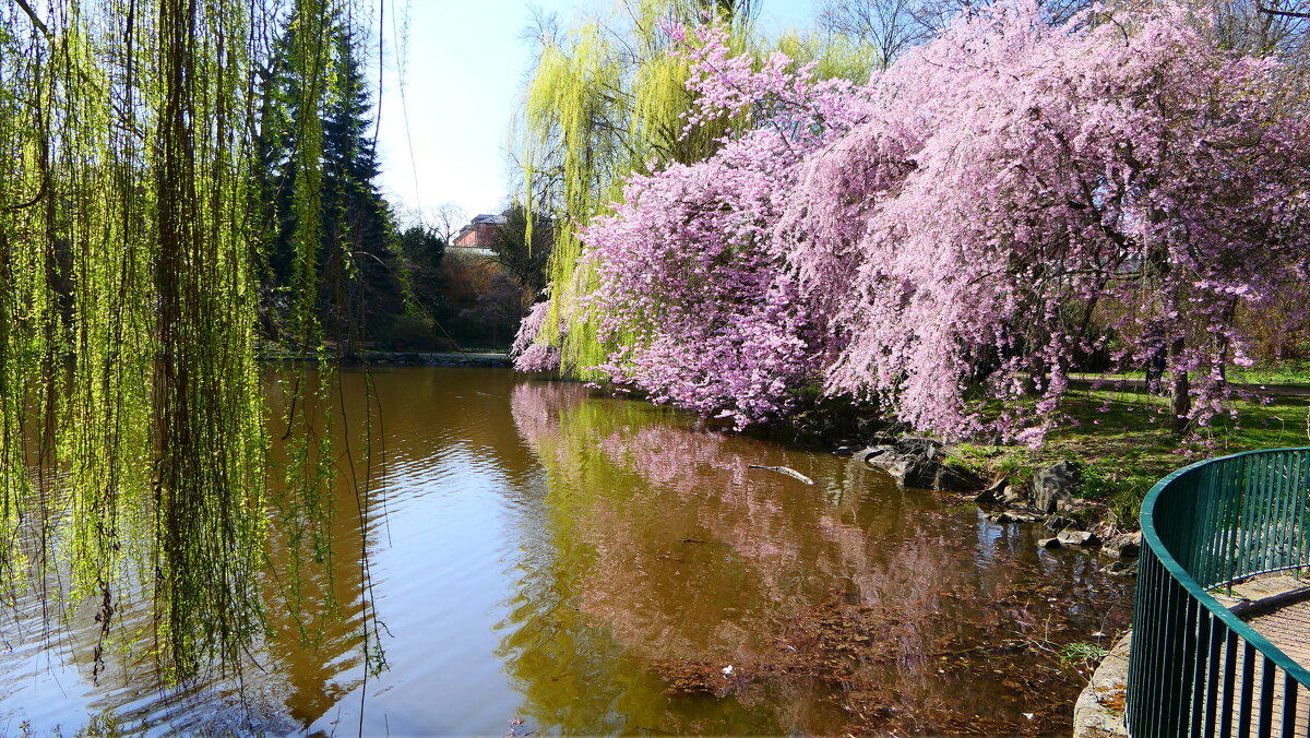 Пробуждение "ВЕСНЫ" Прекрасная природа.Мир Природы "Natural World" - "The Natural World" Александер