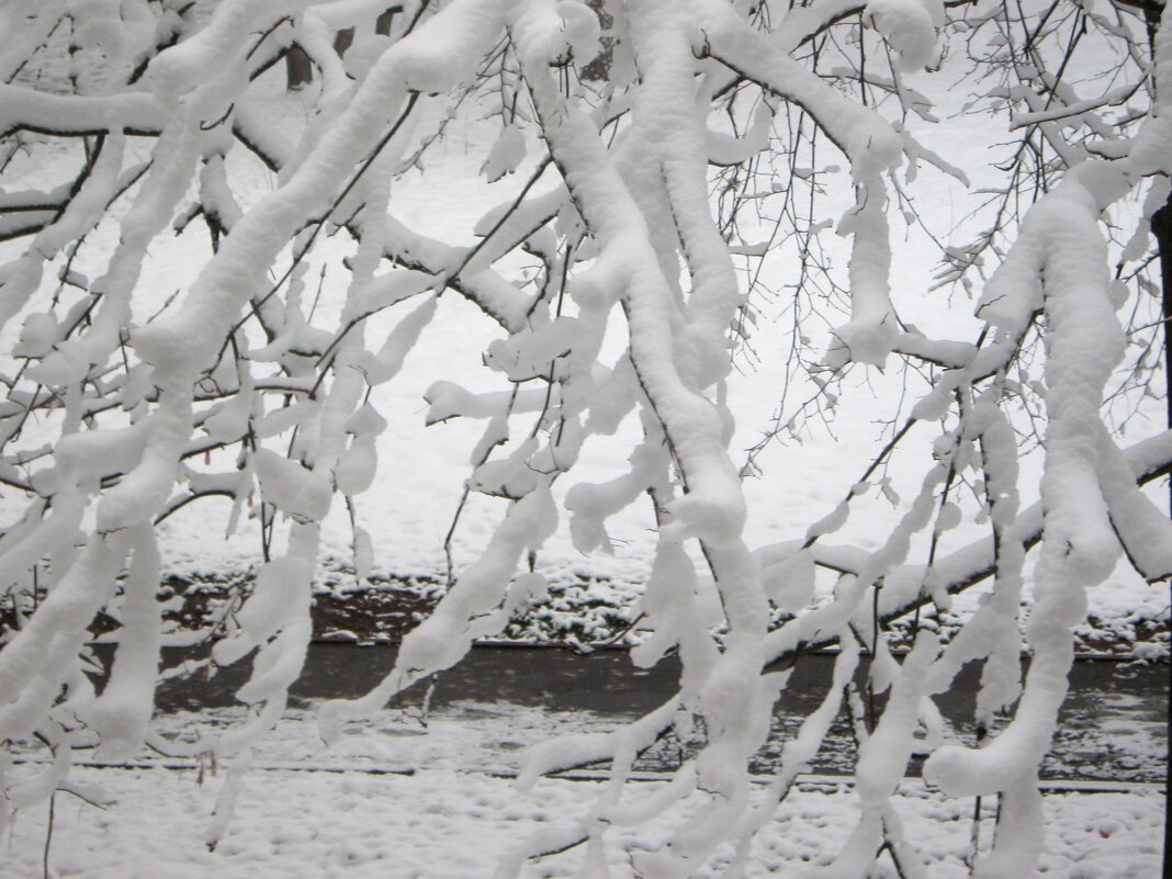 Зима в апреле - Елена Семигина Зима в апреле - Елена Семигина