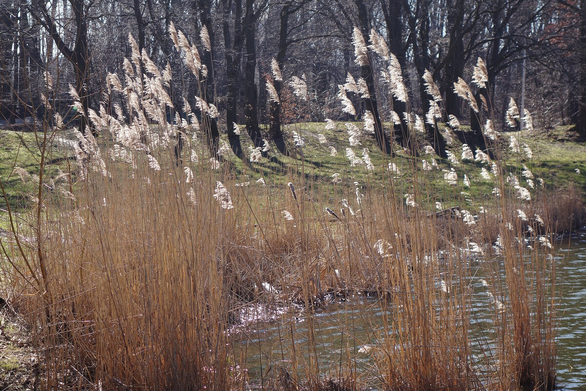 Март - Рита Симонова Март - Рита Симонова
