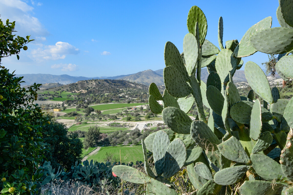 Пейзаж. Кипр - Oleg4618 Шутченко Пейзаж. Кипр - Oleg4618 Шутченко