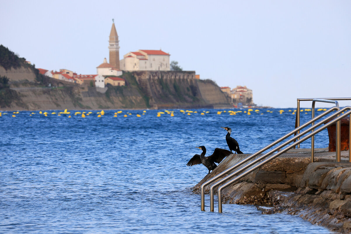 Возле моря - Сергей Титов Возле моря - Сергей Титов