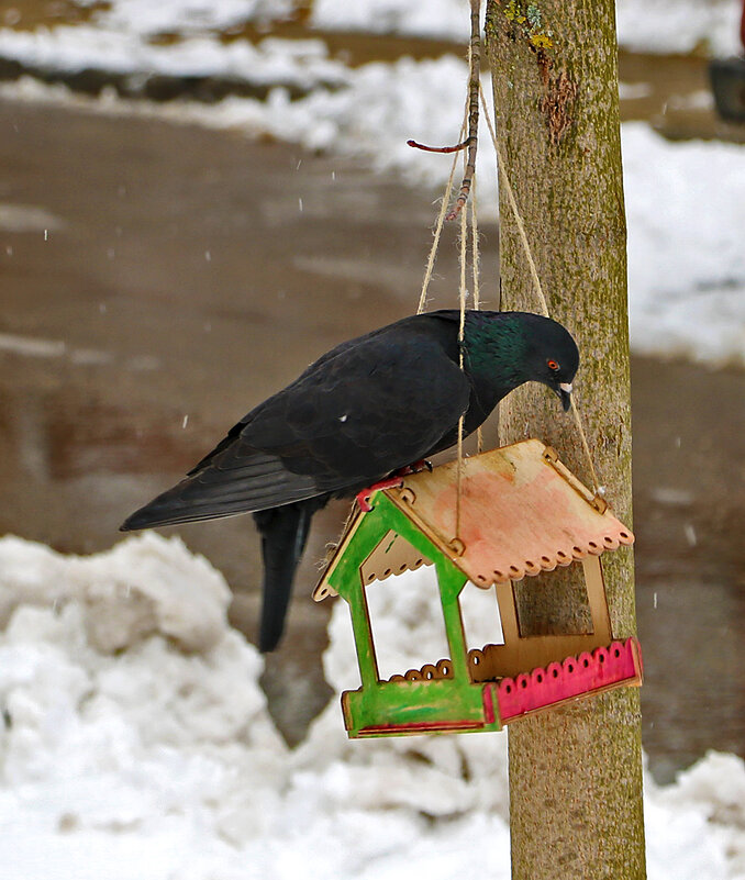 Хоть что-нибудь там есть?.. - Светлана Хоть что-нибудь там есть?.. - Светлана