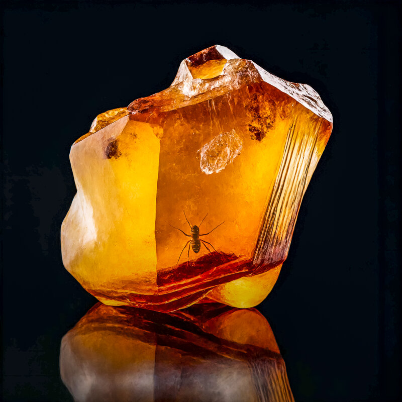 Янтарь - Aleksey Afonin Янтарь - Aleksey Afonin