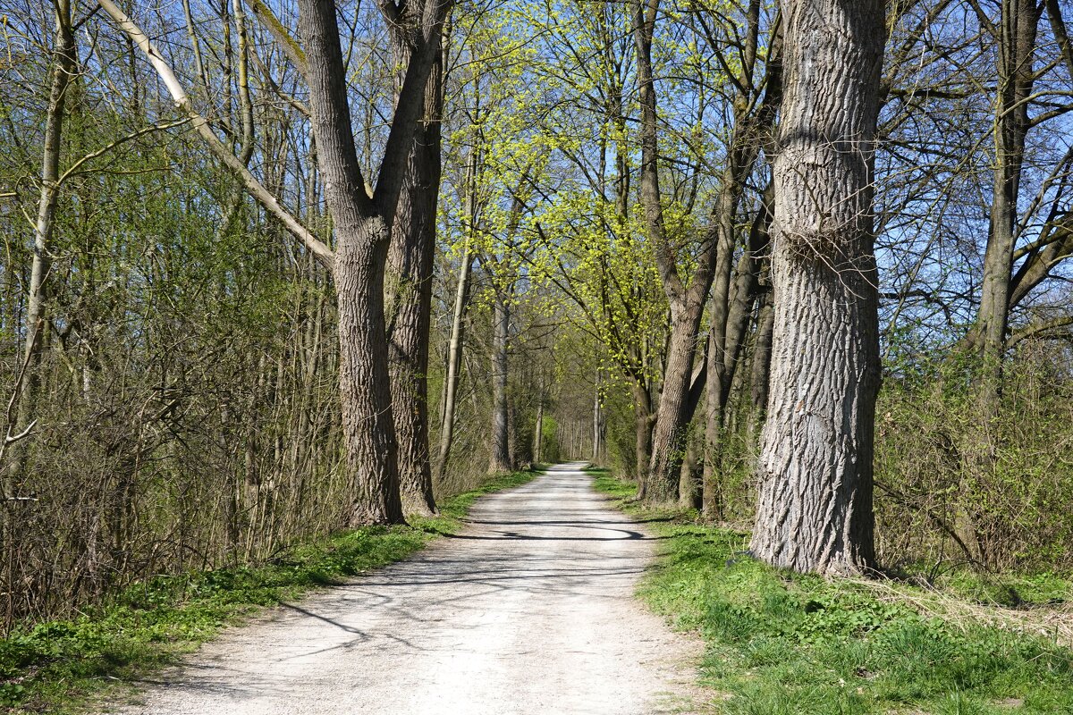 "Дорога - это жизнь, и жизнь - это дорога." - Jack Kerouac... - Галина "Дорога - это жизнь, и жизнь - это дорога." - Jack Kerouac... - Галина