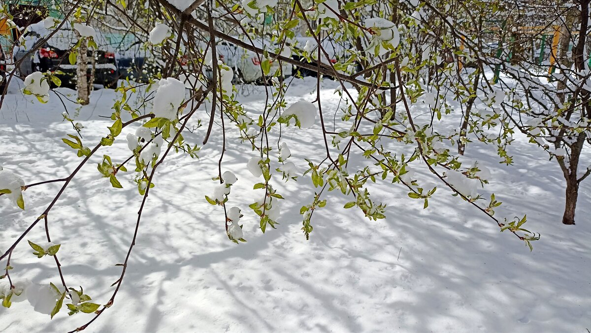 Апрельские узоры - Татьяна Тюменка