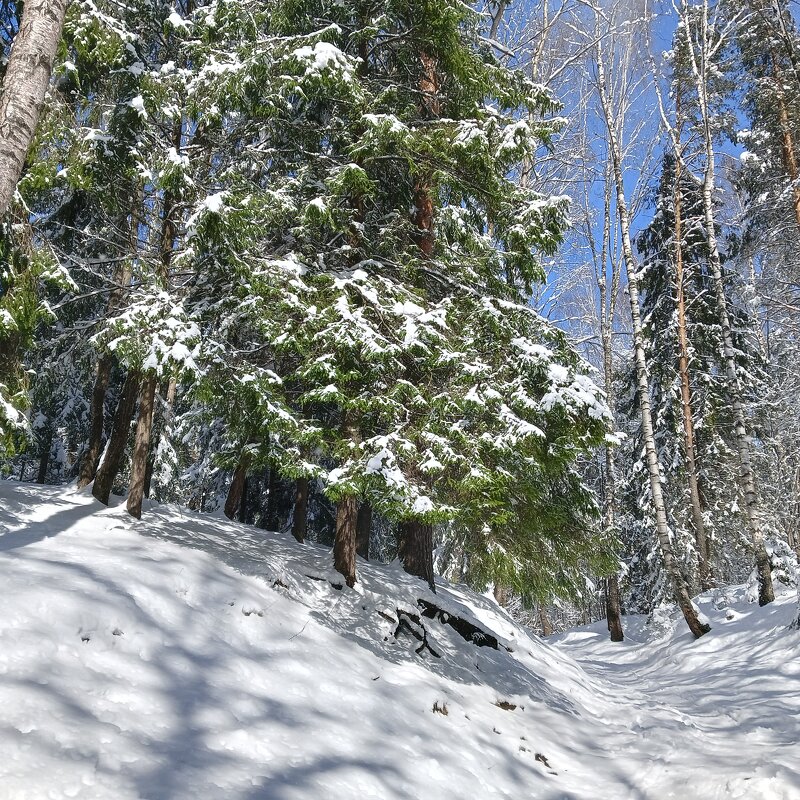 пейзаж - Владимир 