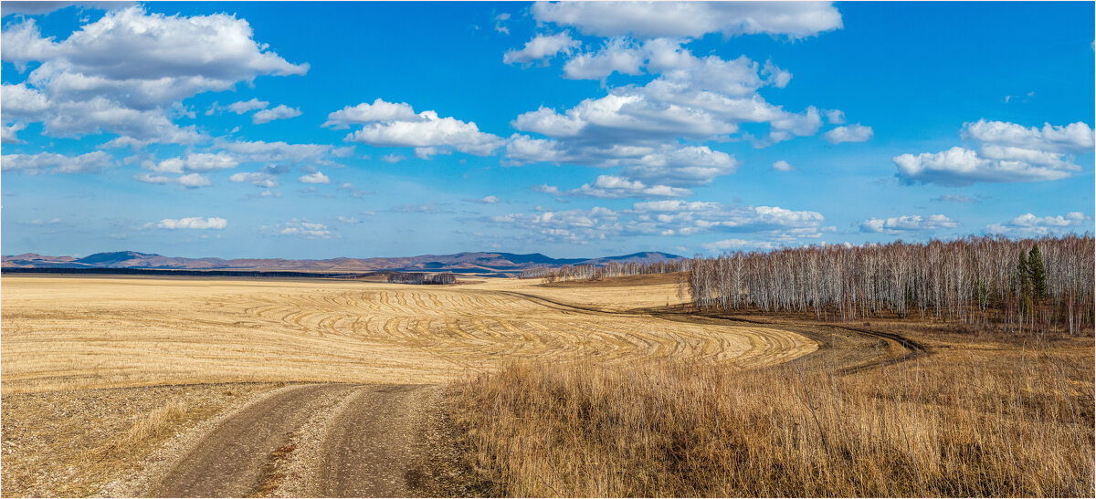 Весенние просторы - Алексей Мезенцев