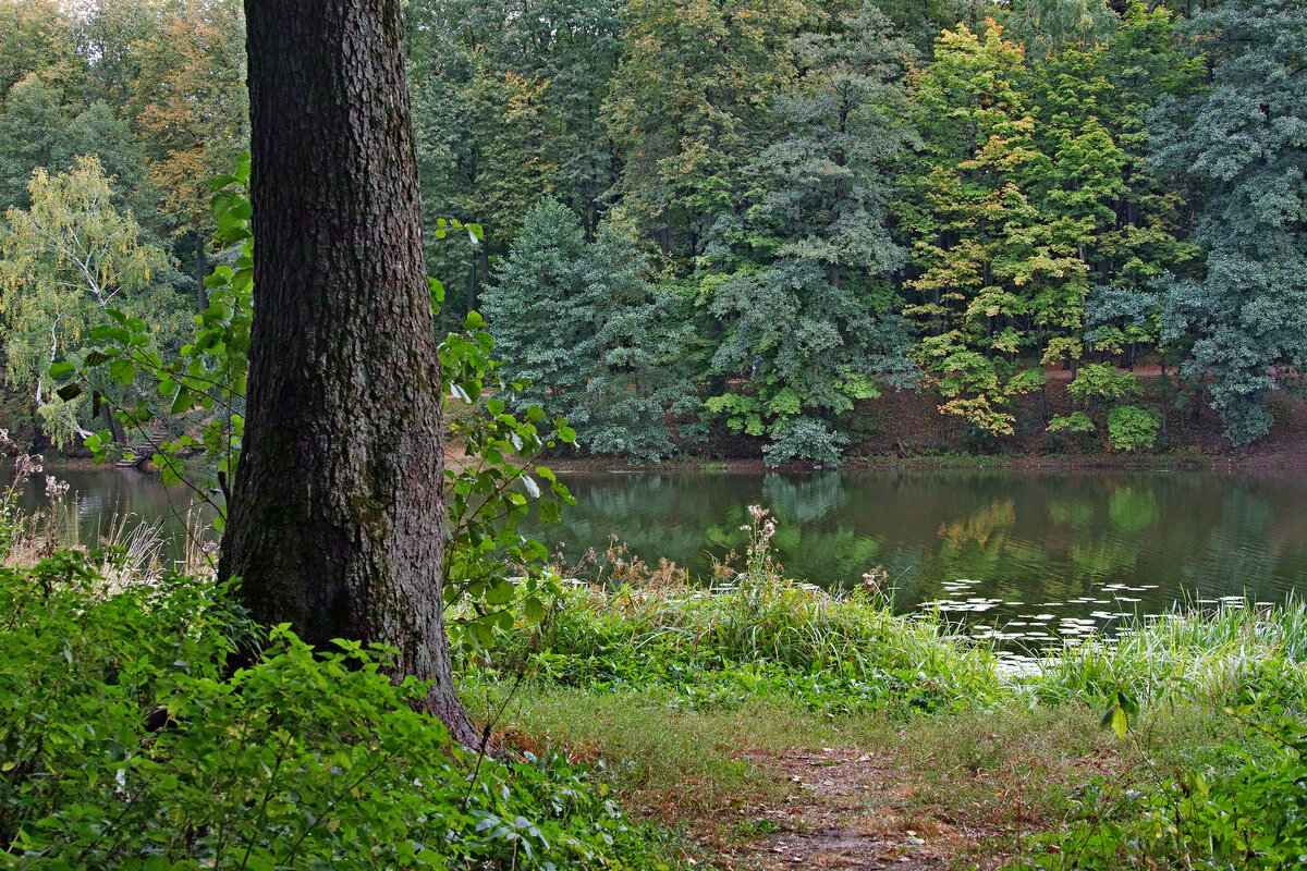Кузьминский парк - Игорь Белоногов Кузьминский парк - Игорь Белоногов