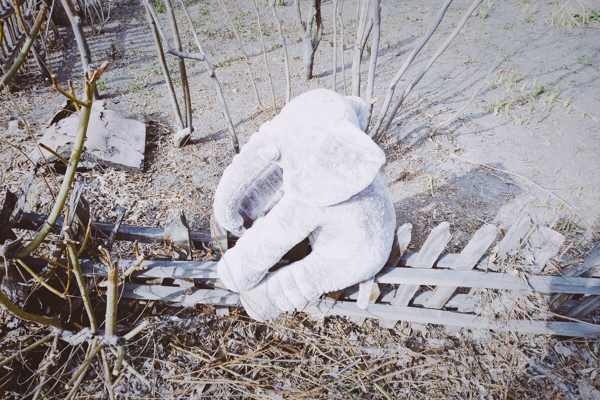 Заборный слон. - Игорь Солдаткин