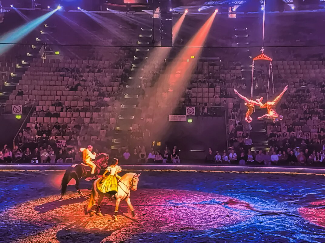 Цирк лошадей "Cavaluna" - Андрей K. Цирк лошадей "Cavaluna" - Андрей K.