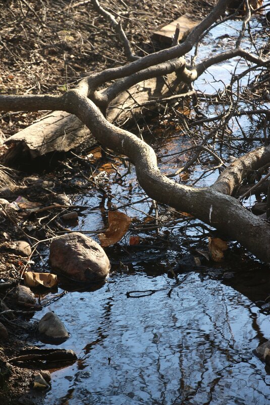 Весна - Наталья Герасимова