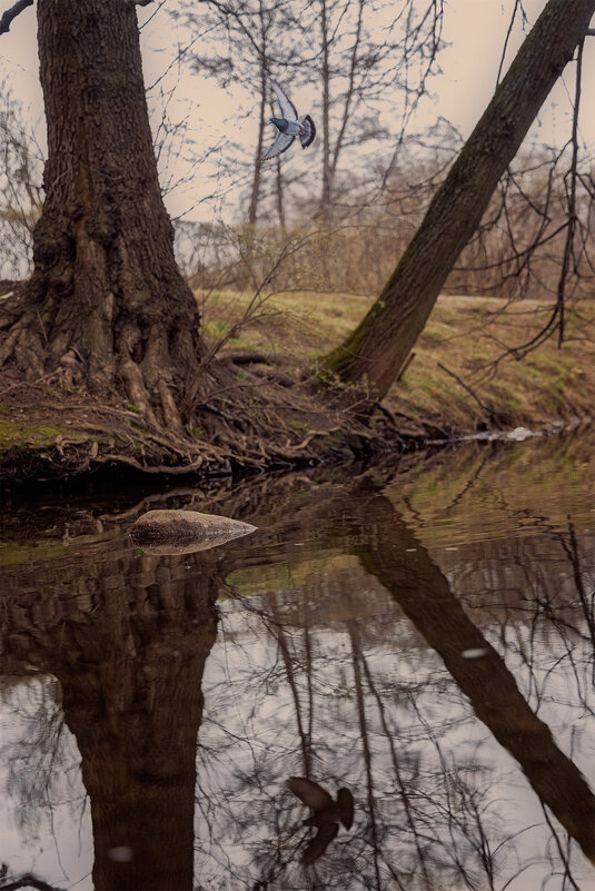 в полёте - Michel 